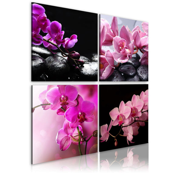 Canvas Print - Orchids more beautiful than ever