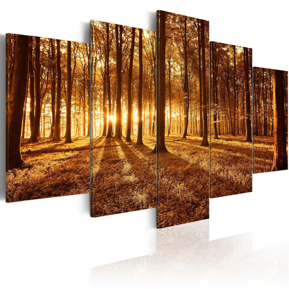 Canvas Print - Amber forest