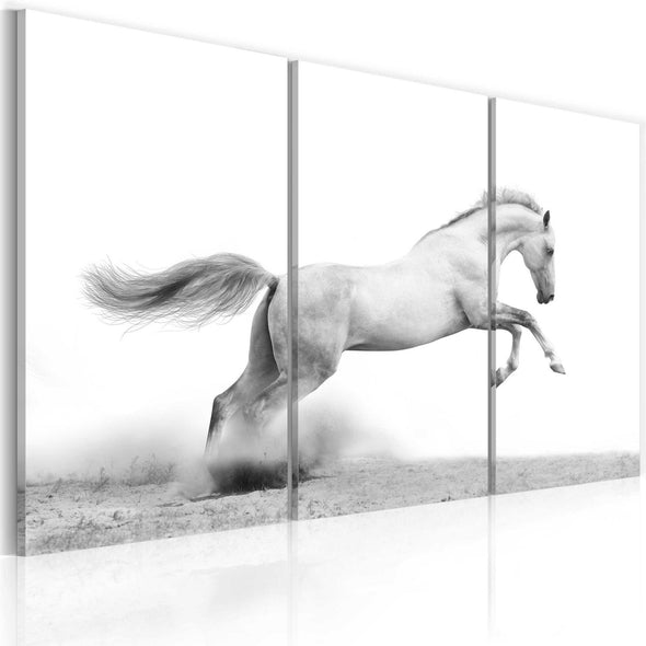 Canvas Print - A galloping horse