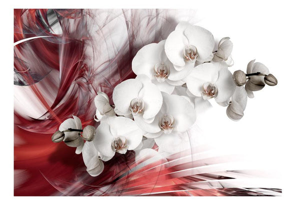 Wall mural - Orchid in red