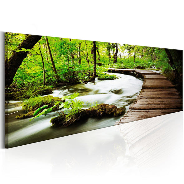 Canvas Print - Forest Song