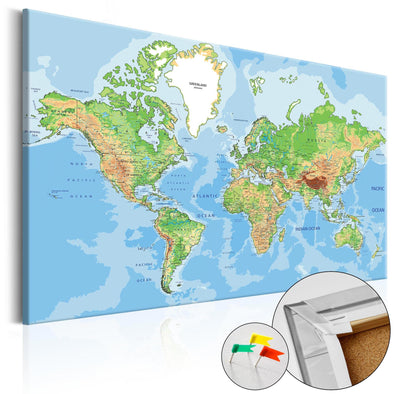 Decorative Pinboard - World Geography [Cork Map]