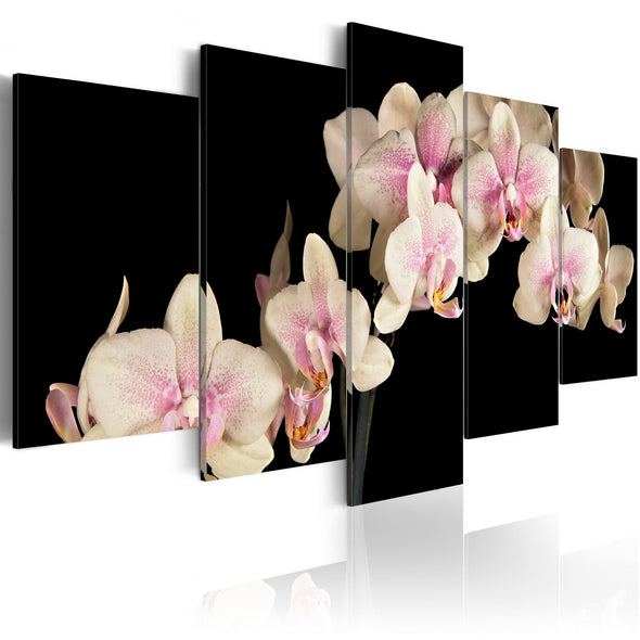 Canvas Print - An orchid on a contrasting background