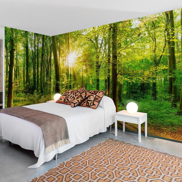 Peel and stick wall mural - Forest Rays