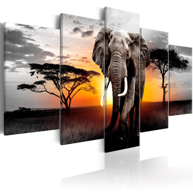 Canvas Print - Elephant at Sunset