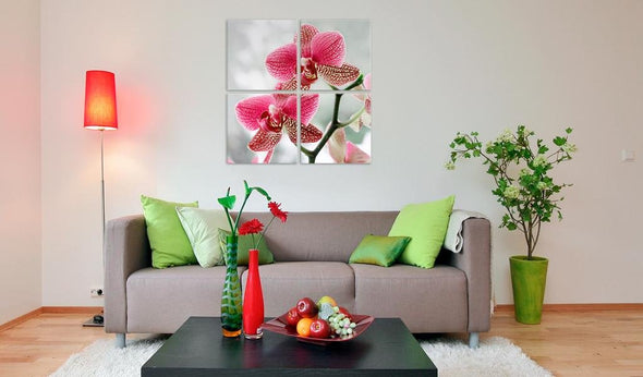Canvas Print - Fancy orchid