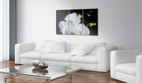 Canvas Print - Snowy orchid