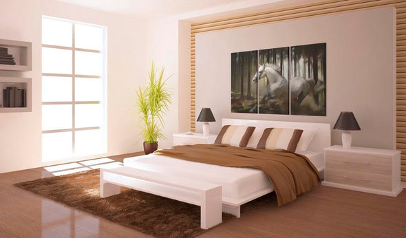 Canvas Print - A white horse in the midst of the trees