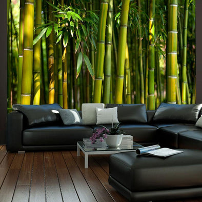 Wall mural - Asian bamboo forest