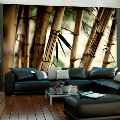 Wall mural - Fog and bamboo forest