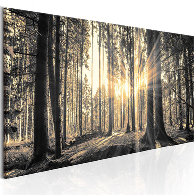 Canvas Print - Forest Sun