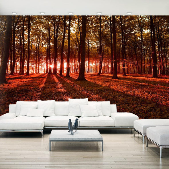 Peel and stick wall mural - Autumn Morning II