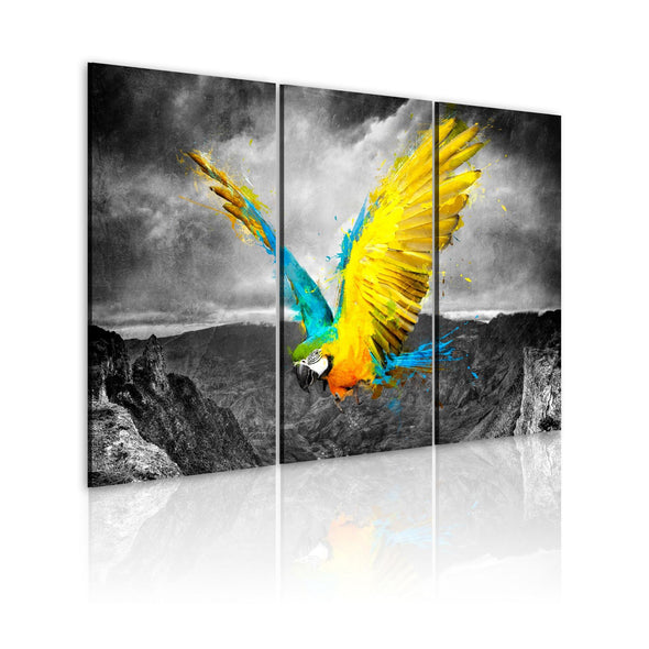 Canvas Print - Bird-of-paradise