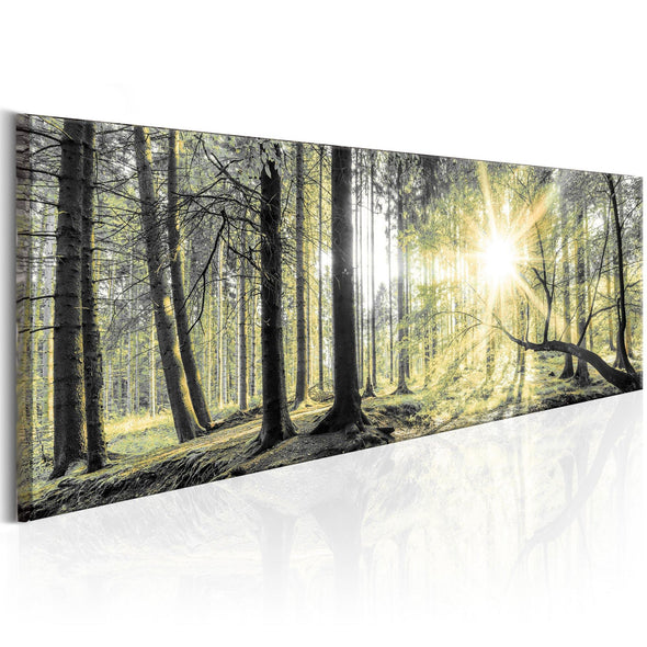 Canvas Print - Morning Forest