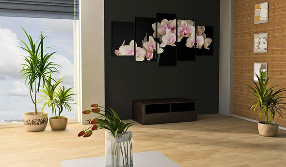 Canvas Print - An orchid on a contrasting background