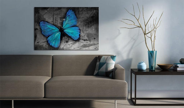 Canvas Print - The study of butterfly
